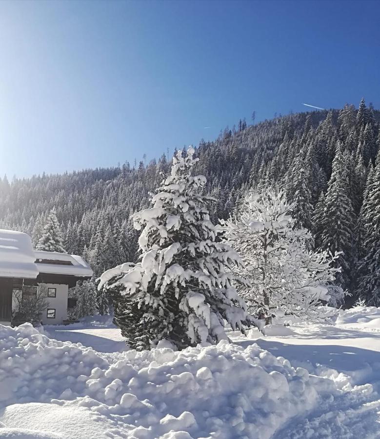 Pension Walchauhof Flachau Esterno foto