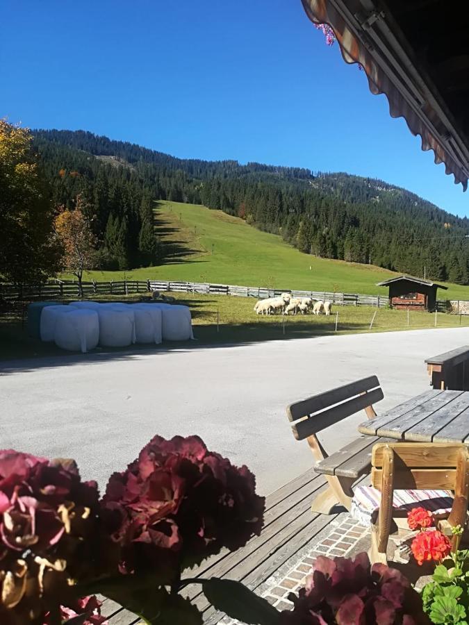 Pension Walchauhof Flachau Esterno foto