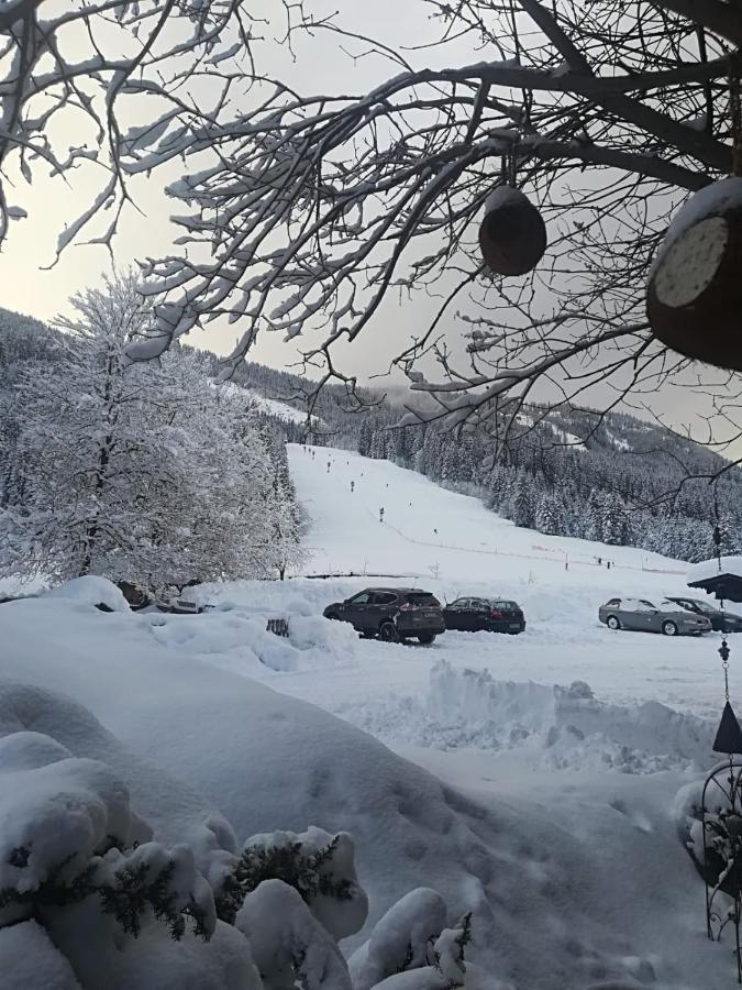 Pension Walchauhof Flachau Esterno foto