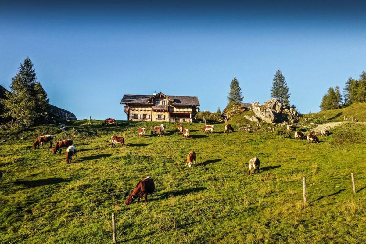 Pension Walchauhof Flachau Esterno foto