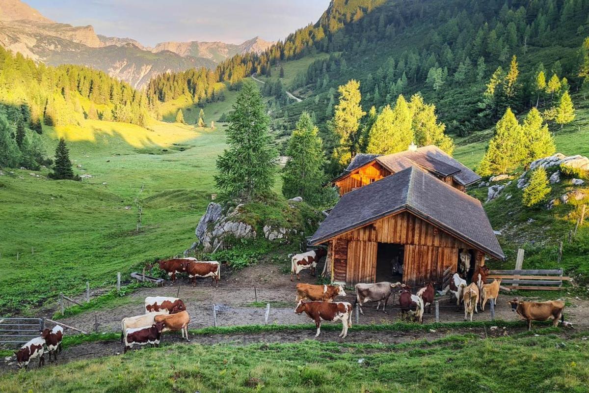 Pension Walchauhof Flachau Esterno foto