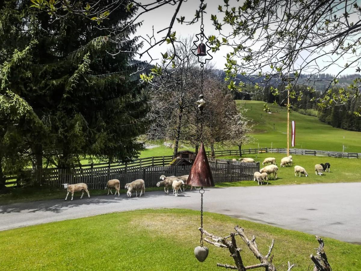Pension Walchauhof Flachau Esterno foto